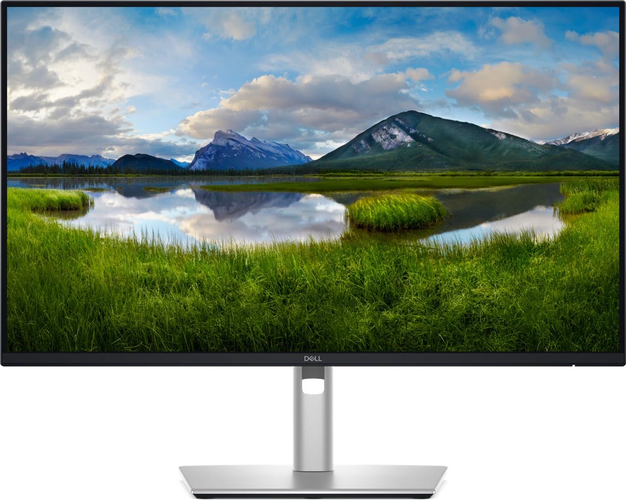 Dell Pro 24 Plus QHD Monitor