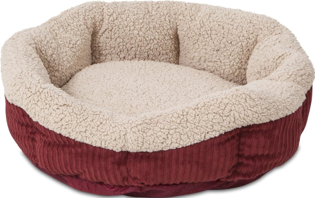 ASPEN BED CAT 19IN SELFWRM RED