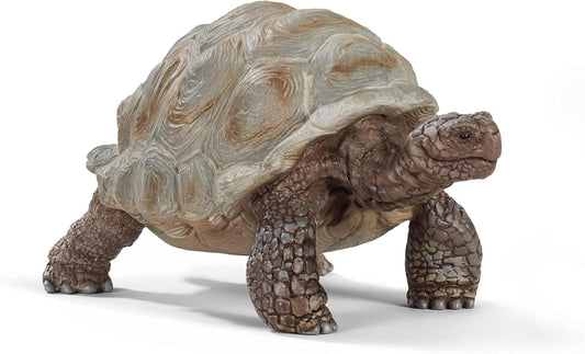 Schleich Wild Life - 3" Galapagos Giant Tortoise Figure - Realistic Turtle Toy for Boys and Girls - Wild Animal Educational Toy - Zoo Wildlife Figurine for Toddlers and Kids Ages 3+ | 13337
