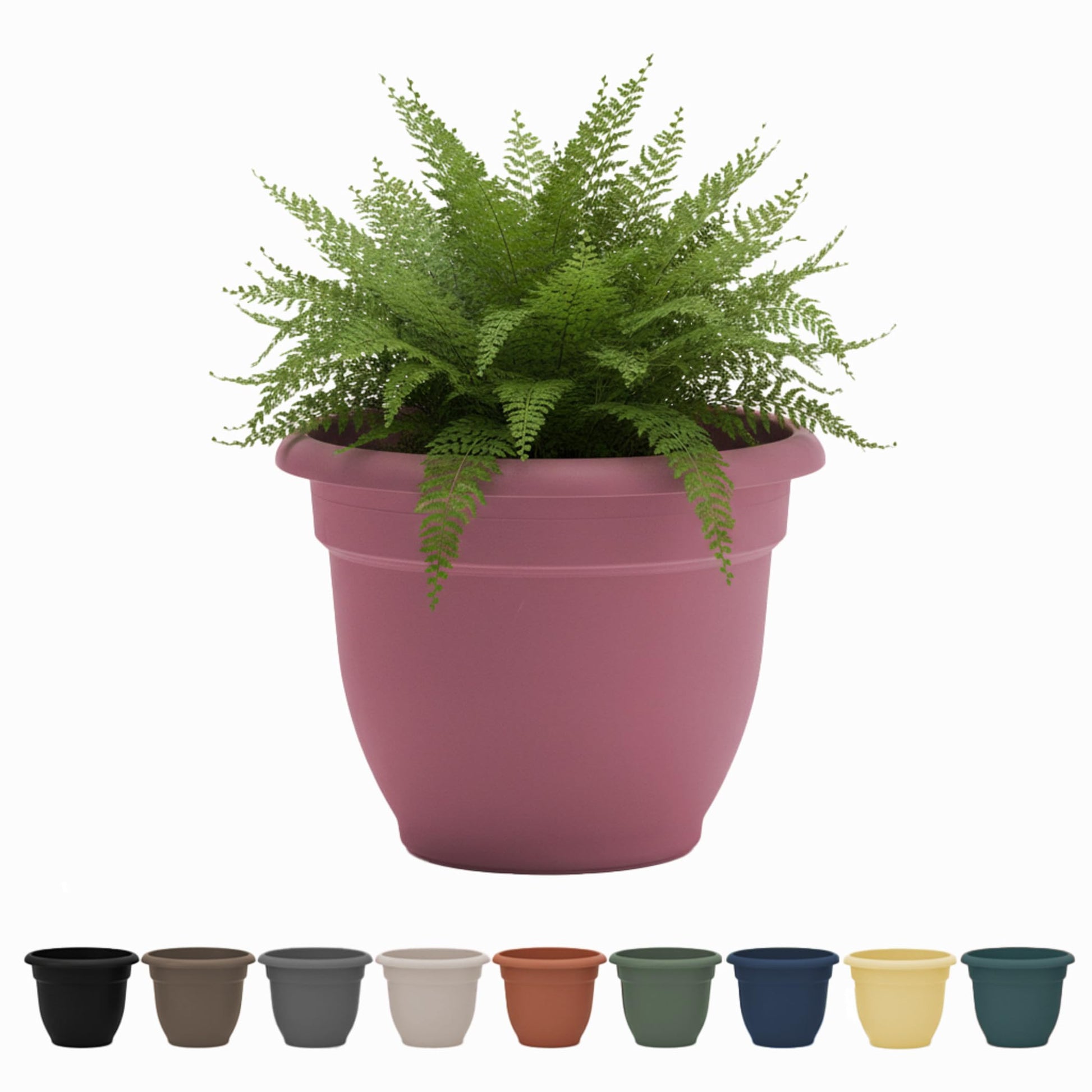 Bloem Ariana 8" Dusty Rose Self-Watering Planter