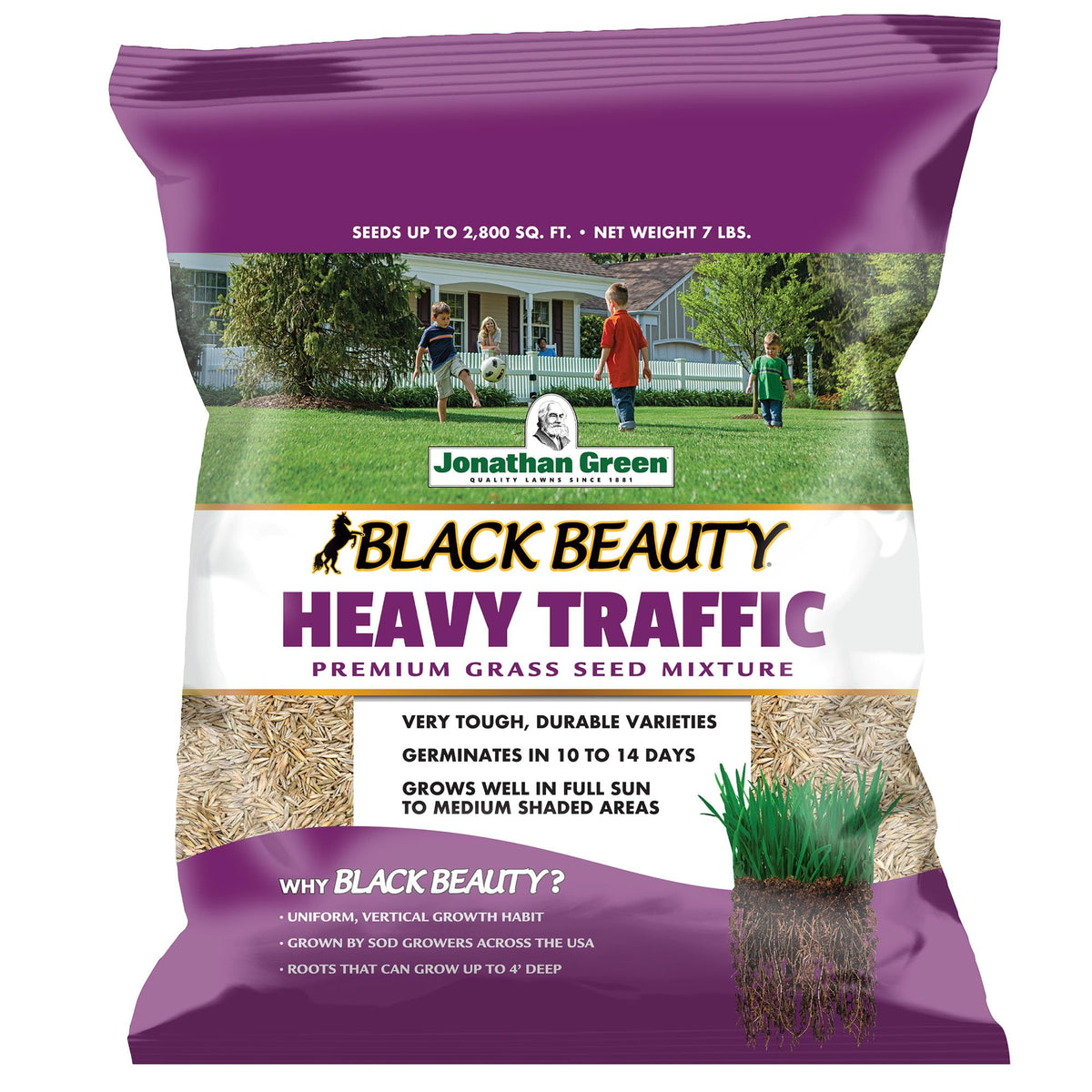 Jonathan Green (11000) Black Beauty Heavy Traffic Grass Seed - Cool Season Lawn Seed (7 lb)