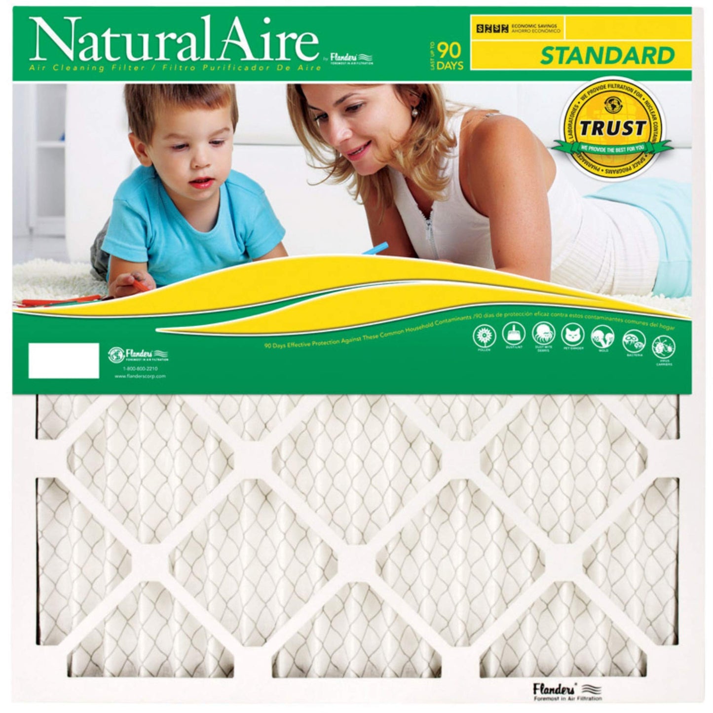 NaturalAire Standard Pleat Air Filter 10x30x1 84858.011030