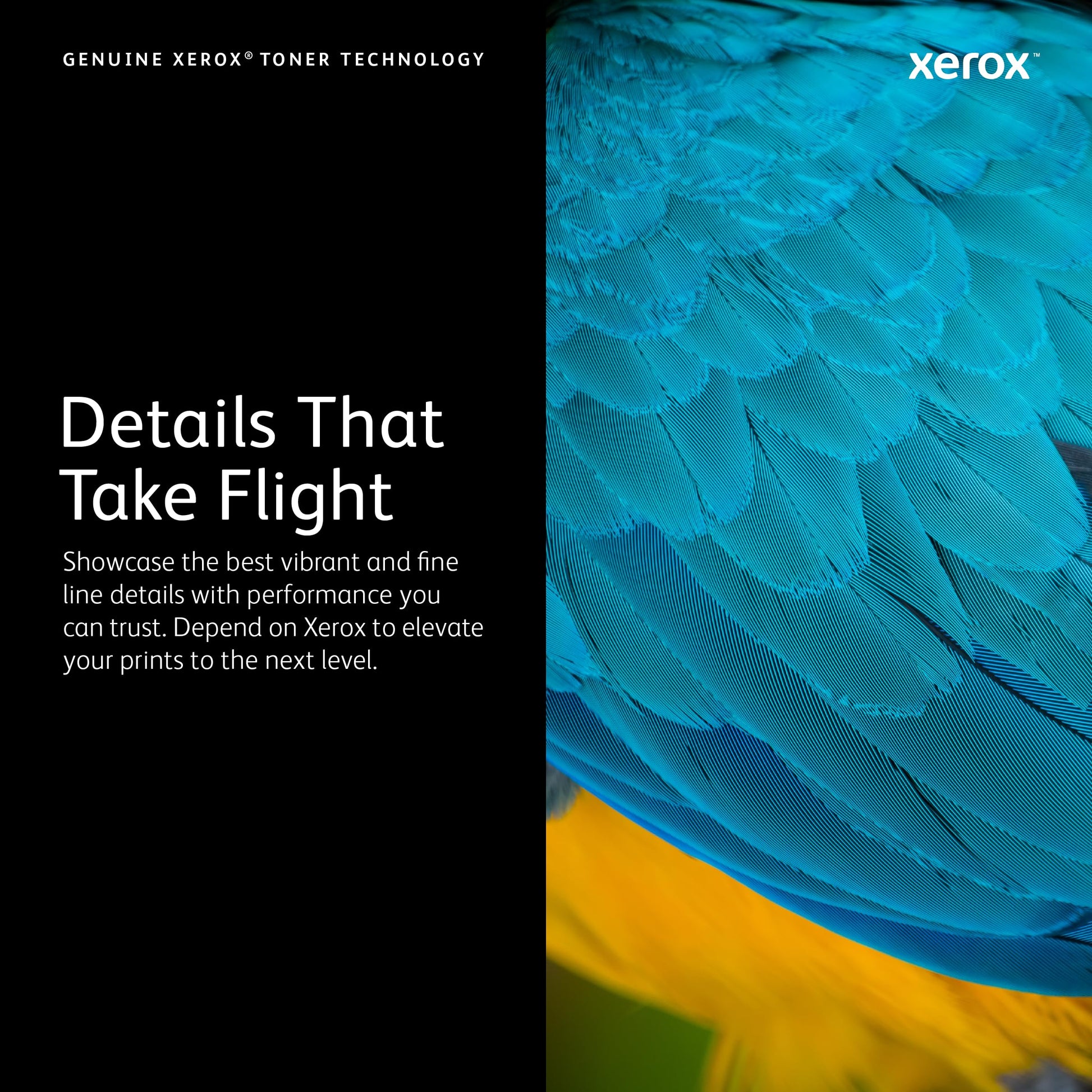 Xerox VersaLink B400 High Capacity Black Toner 106R03584