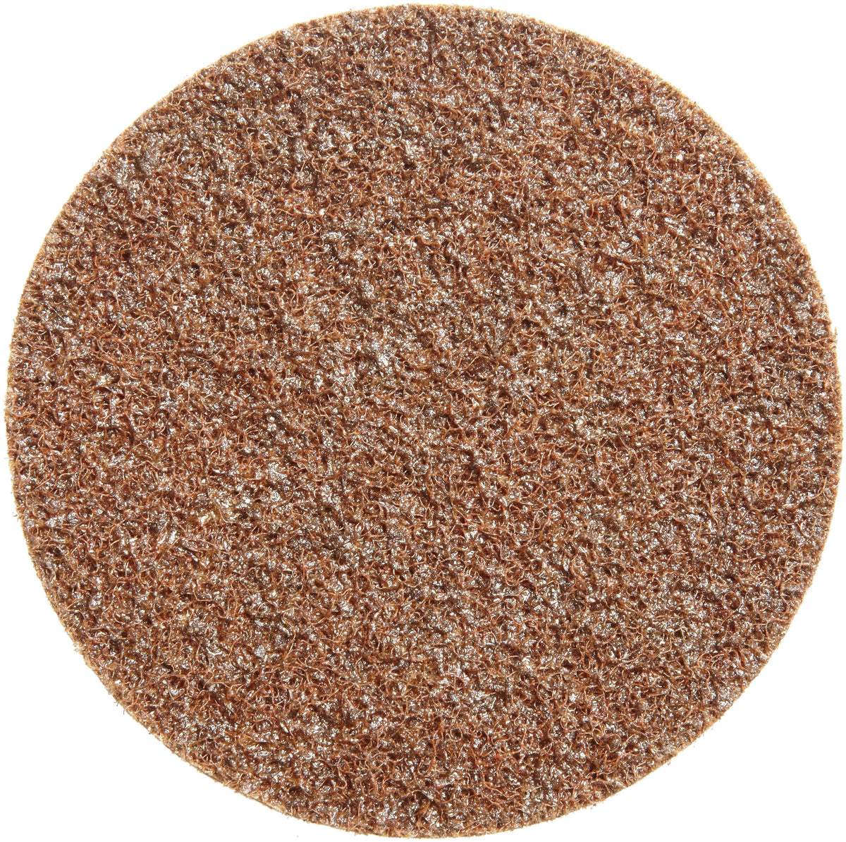 3M Scotch-Brite SC-DH Coarse Grit 4-1/2" Disc